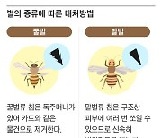 강변에서 트래킹하던 동호회원 14명 벌에 쏘여