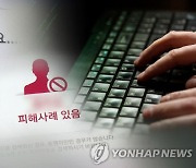 사이버사기 4년새 715% 증가…범죄 발생건수도 매년 ↑