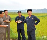 김덕훈 내각총리, 태탄군 류정농장 현지요해