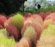 가을의 문턱