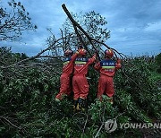 CHINA TYPHOON YAGI