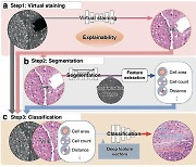 친환경 조직병리 딥러닝 진단법 상용화 첫 걸음