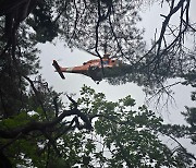 '버섯 채취하다' 양구·화천 경계 산 30m 아래 추락 50대 숨져