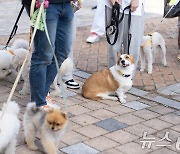 "반려동물과 함께하는 행복도시"…광주시 '반려동물문화공원' 등 추진