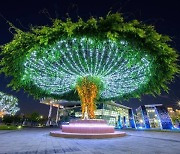 "올 세종 빛 축제 사실상 불발"…시의회 예산안 6억 부결 가닥