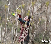 괴산군, 전문임업인 연중 선발…융자 혜택 등 다양한 지원