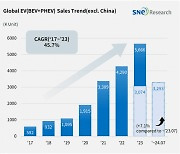 非중국 전기차 시장서 잘나가던 기업들, 올해는 역성장