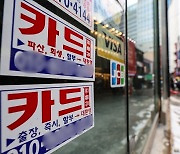 “유일한 돈줄인데”… 대출 풍선효과 차단 움직임에 난감한 카드사