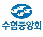 수협 46개 조합, 내일부터 지역인재 169명 선발