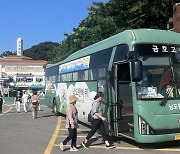 전남 가을 관광 '남도한바퀴 28개 코스'로 가을 정취 만끽