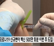 코로나19 신규변이 백신 500만 회분 이번 주 도입