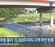 삼척시, 어린 붕어 76,000여 마리 지역 하천 방류