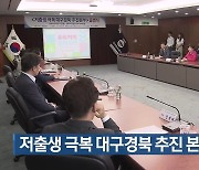 저출생 극복 대구·경북 추진 본부 출범