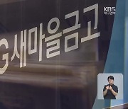 대구 새마을금고 3곳, 부실대출 규모 320억 원 이상