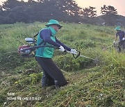 추석 때마다 하루 500명 병원신세...벌·뱀 보다 더 무서운 이것