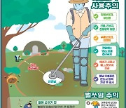 추석 연휴에 특히 조심하세요…벌, 뱀, 교통 사고, 예초기