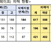 올해 학생·교사 딥페이크 피해 434건…열흘 만에 2.2배로 증가