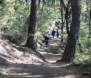 울산 북구, 등산로와 산책로 곳곳에 맨발걷기길 5곳 조성