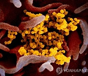 [신간] 삶을 바꾼 작은 생물들…'역사가 묻고 미생물이 답하다'