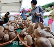 [포토]강남구청 주차장에서 열린 '2024 추석맞이 직거래장터'