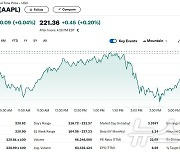 애플 AI 아이폰 공개했음에도 0.04% 상승에 그쳐