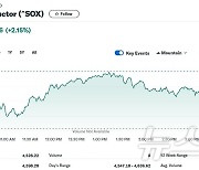 엔비디아 3.54% 급등, 반도체지수도 2.15% 상승(종합)