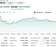 머스크, 테슬라와 xAI 매출 배분 부인…테슬라 2.63%↑