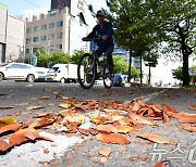 가을이 오고 있어요