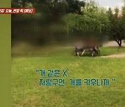 "개 같은 X, 조져버릴 것"…반려견 산책하는 부부에 폭언 쏟아낸 노인들