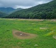 영천댐, 가뭄 ‘주의’ 단계 격상... 200년 만의 적은 비