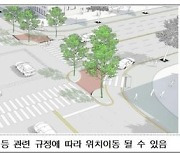 서울시, 보행자 교통사고 취약지역에 가로수 2000그루 심는다