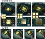 골프공 표면 본뜬 신축성 디스플레이 `등장`…발광과 신축성 동시에 갖춰