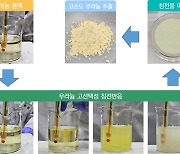 원자력연, 고효율 우라늄 추출 신기술 구현…침전 반응으로 90% 이상 고순도 추출