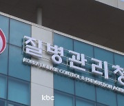 국내 매독 환자, 8월까지 2천 명 근접..지난해 대비 '폭증'