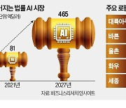 제동 걸린 법률AI 챗봇…'제2 로톡사태'로 번지나