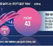 테슬라도 '제로 데이 옵션'…도입 가능성 커졌다