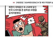 [여적] 문체부의 ‘허위·왜곡’ 웹툰