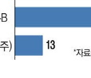 밸류업 기대감에 시장 환호 현대차 우선주 삼형제 질주