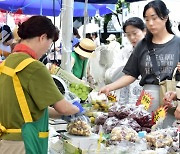 [머니S픽] 우수품질 농산물 동네에서 만나요… 강남, 추석맞이 장터 개장