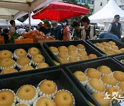 강남구 추석 직거래 장터