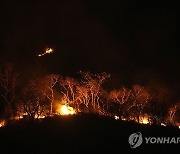 Brazil Wildfires