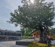 산청군, 도시재생사업 준공 1주년 순항 중