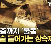 [자막뉴스] "받는 만큼 낸다"...내년 상반기 '유산취득세법' 국회 제출