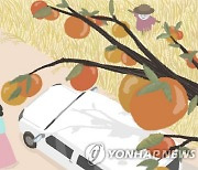 금감원, 금융권과 함께하는 추석맞이 전통시장 나눔 활동