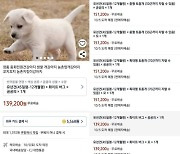 "강아지 택배배송 책임집니다"…쿠팡 '반려견 판매글' 논란