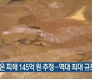 고수온 피해 145억 원 추정…역대 최대 규모