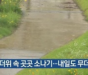 무더위 속 곳곳 소나기…내일도 무더위