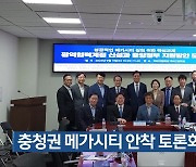 충청권 메가시티 안착 토론회 열려