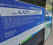 자율로 정하라는데···은행마다 다른 ‘실수요자’에 수요자들 우왕좌왕