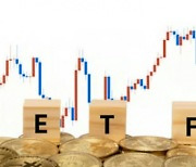 "지각변동 일어날까" ETF 파이경쟁 '격돌'… 승자는 한투·신한?